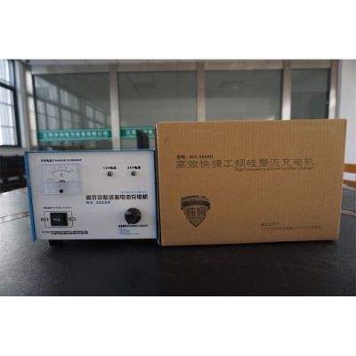 柴油發(fā)電機(jī)組蓄電池自動充電器