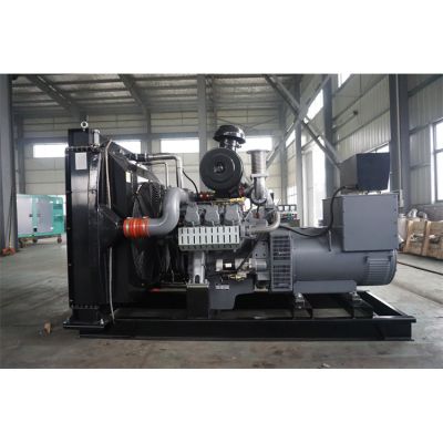 300kw威曼柴油發(fā)電機(jī)組-威曼6缸柴油機(jī)D11A柴油發(fā)電機(jī)組,缸徑/行程：128/142mm,柴油發(fā)電機(jī)組水冷發(fā)動(dòng)機(jī)功率314KW,柴油發(fā)電機(jī)組配套馬拉松斯坦福發(fā)電機(jī)。廠價(jià)直銷歡迎選購：13773399855。