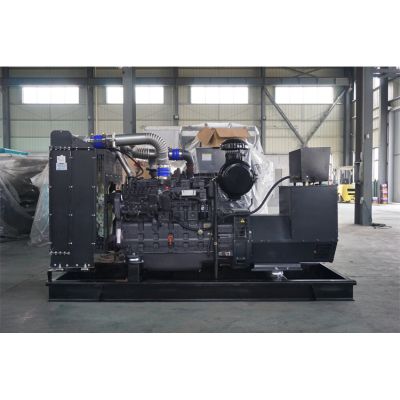 工廠直銷250KW柴油發(fā)電機(jī)，品牌有廣西玉柴、無錫動(dòng)力、威曼、通柴等柴油發(fā)電機(jī)組。廠價(jià)直銷歡迎選購：13773399855。