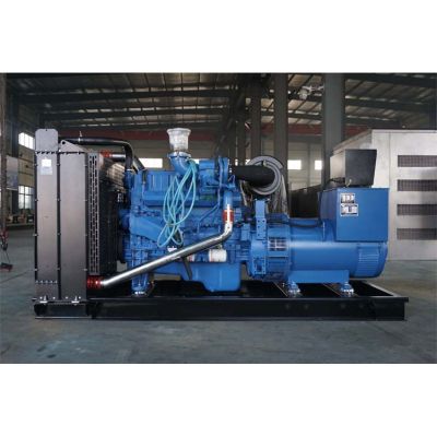 250kw玉柴柴油發(fā)電機(jī)組-玉柴6缸柴油機(jī)YC6MK420L-D20柴油發(fā)電機(jī)組,缸徑/行程：123/145mm,柴油發(fā)電機(jī)組水冷發(fā)動機(jī)功率309KW,柴油發(fā)電機(jī)組配套馬拉松斯坦福發(fā)電機(jī)。廠價(jià)直銷歡迎選購：13773399855。