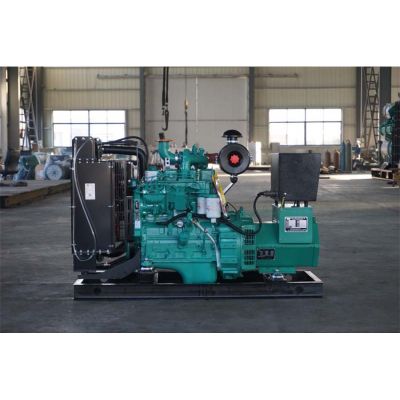 20kw東風(fēng)康明斯柴油發(fā)電機(jī)組-東風(fēng)康明斯4缸柴油機(jī)4B3.9-G2柴油發(fā)電機(jī)組,缸徑/行程：102/120mm,柴油發(fā)電機(jī)組水冷發(fā)動(dòng)機(jī)功率27KW,柴油發(fā)電機(jī)組配套馬拉松斯坦福發(fā)電機(jī)。廠價(jià)直銷歡迎選購(gòu)：13773399855。